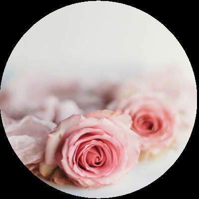 Marie-Rose De Rammelaere